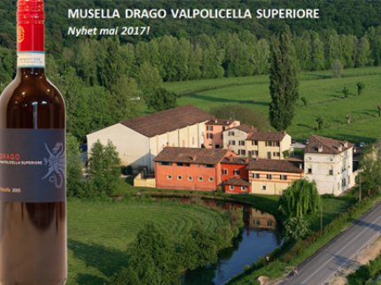 Ny biodynamisk Valpolicella fra Musella – det perfekte følget gjennom sommeren!